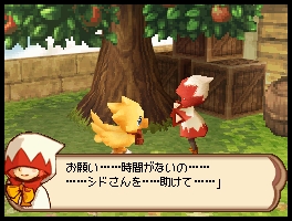 Nei panni di un Chocobo col Nintendo DS
