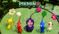 Pikmin 3 è atteso su Wii