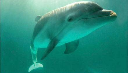 Crave annuncia luscita di Winters Tail per Nintendo DS