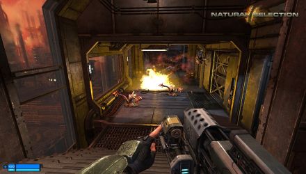 Su Steam la closed beta per Natural Selection 2