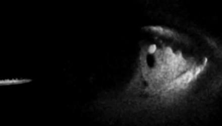 VGA 2010: Guillermo Del Toro al lavoro su InSANE