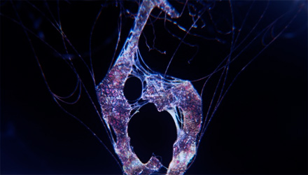 Resident Evil 6: no alla versione Wii U, dettagli sul pre-ordine