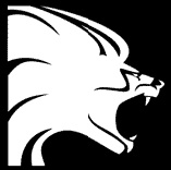 MGS acquisisce Lionhead Studios