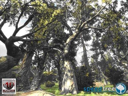 The next big thing? Il calcolo procedurale