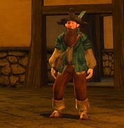 Tom Bombadill in LOTR Online