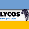 Lycos fa propria la ricerca video di Blinkx