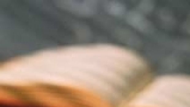 Un libro con Melablog: ecco come parteciperete