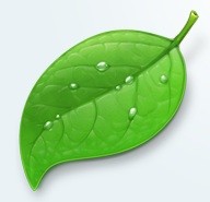 Coda, l'editor HTML Mac style