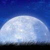 Google vuole tornare sulla Luna