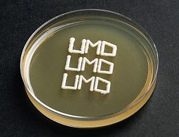 Tessuti umani da una stampante Ink-jet