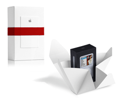 Aria di Natale all'Apple Store Online