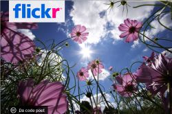 I migliori strumenti per usare Flickr