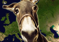 Ancora ritardi per lo sviluppo della banda larga in Italia