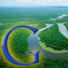 Google difende la Foresta Amazzonica