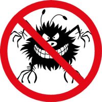 Per un bug la colpa è di Microsoft o di Symantec?