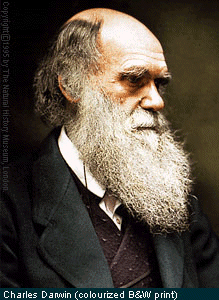 La cultura è 2.0 con le carte e i documenti di Darwin, ma ne siamo sicuri?