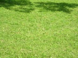 Agenzia europea dell'ambiente e Microsoft insieme per il clima