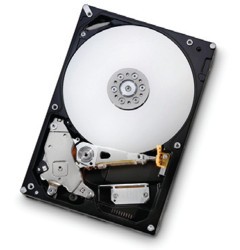 Maggiore efficienza energetica per il nuovo Hitachi Deskstar 7K1000.B