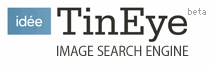 TinEye: immagini che cercano altre immagini