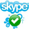 Skype 4.0, l'ultimo passo prima della gold