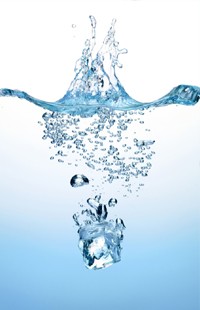 La trasparenza in rete è un valore?