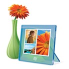 Gestire e organizzare le foto con Raccolta Foto Windows