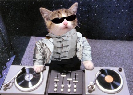 DJ Hero: quasi ufficiale il rilascio nel 2009