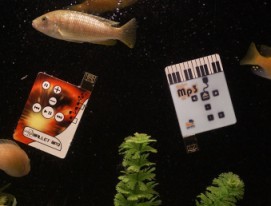 Wallet Flash e Wallet MP3: pendrive e lettore MP3 campioni nello spessore