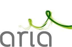 Aria nel 2009 porterà il WiMax in Piemonte