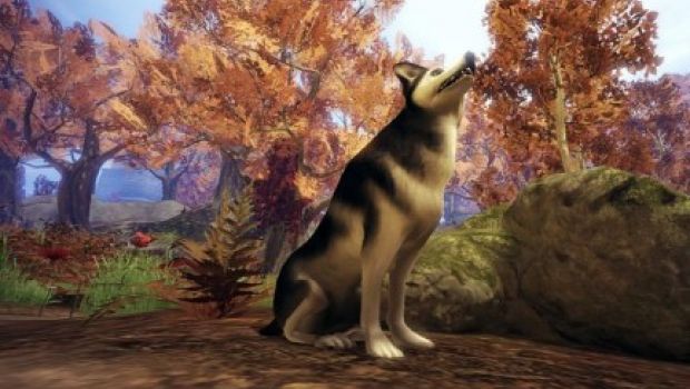 Fable 2: See the Future è tra noi - nuove immagini