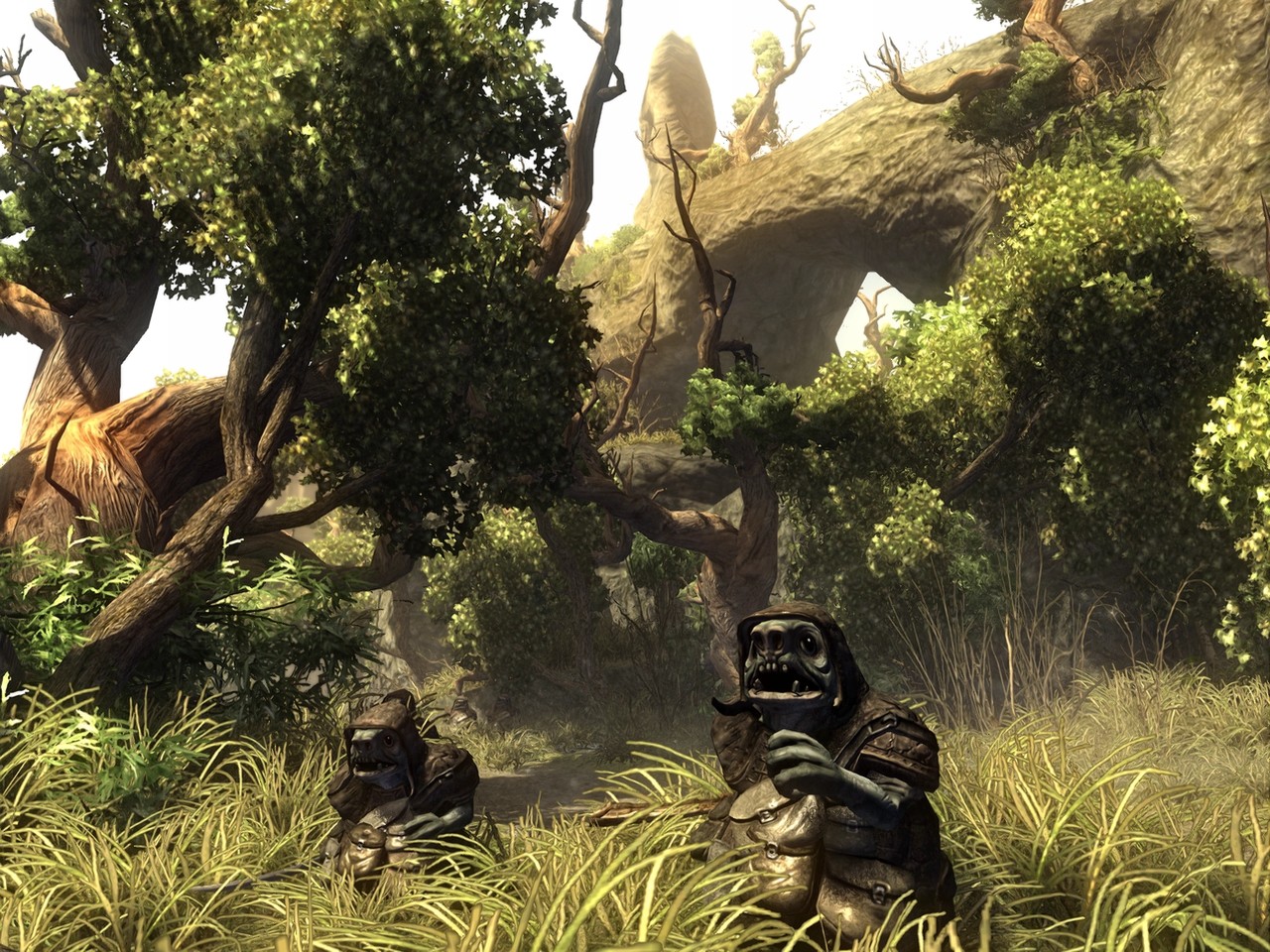 Risen: sito ufficiale e 