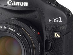 Canon 1D e 1Ds Mark IV DSLRs: già pronte nel 2009?
