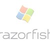 Microsoft, Razorfish vendesi