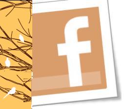 Facebook vola a quota 250 milioni di utenti