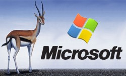 Microsoft Gazelle: un browser ancora tutto da scoprire