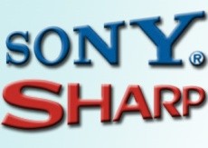 eStarling WPF-388B: cornice digitale per condividere le immagini sul web