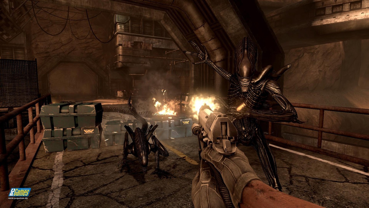 Alien vs Predator: confermata la demo