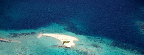 Google: dopo le strade arrivano le mappe dettagliate degli oceani