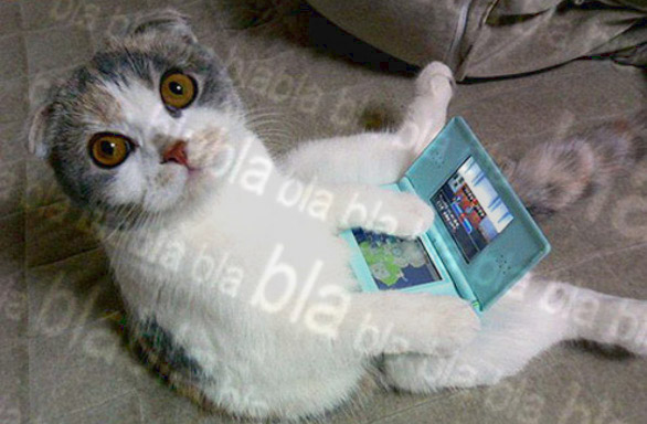 Nintendo DS2 integrerà i sensori di movimento?