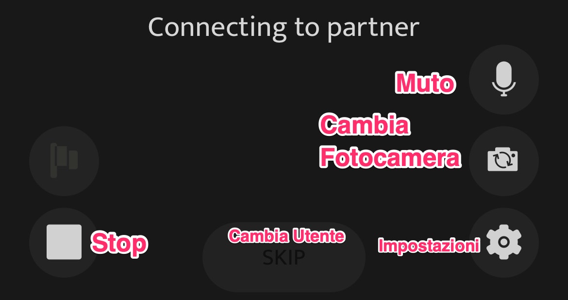 ChatRoulette Pulsanti