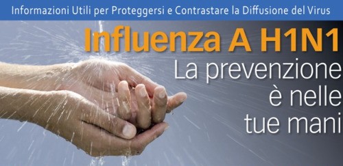Influenza suina: per l'OMS il ruolo di Internet è stato determinante