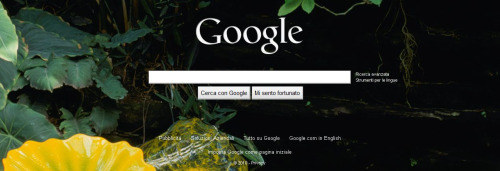 Street View si arricchisce delle foto degli utenti e su Google appaiono le immagini di sfondo