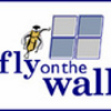 Google e Twitter in difesa di Theflyonthewall