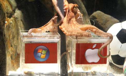 Mac o PC? lo chiediamo al polpo Paul