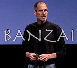 Steve Jobs in versione ninja? Una bufala