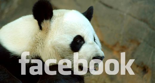 Adotta un animale su Facebook, aiuta il WWF