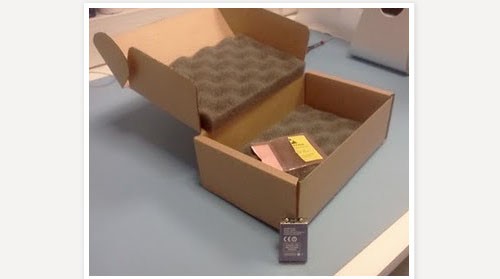 Apple davvero ecologica?