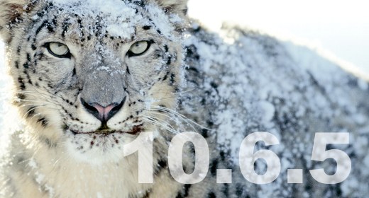 Apple rilascia Mac OS X 10.6.5. Non c'è AirPrint