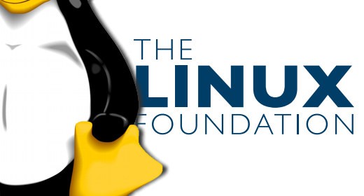 Il passo del pinguino