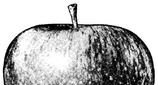 Apple morde la mela dei Beatles